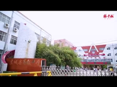 সবজি আর মেরিনযুক্ত ডিমের সাথে নুডলসের পর্বতগুলো খুবই সুস্বাদু আর আসক্তি সৃষ্টি করে!