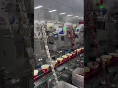 ইয়াং ঝাং গুই তাত্ক্ষণিক নুডলস উপাদান খাওয়ানো কনভেয়র লাইন