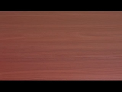 টমেটো গরুর মাংসের স্বাদযুক্ত ভার্মিসেলি এবং তাত্ক্ষণিক নুডলস OEM গ্রহণযোগ্য